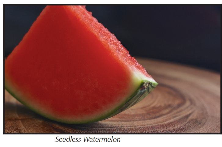 Watermelon